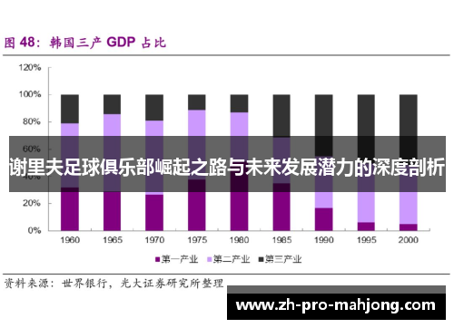 谢里夫足球俱乐部崛起之路与未来发展潜力的深度剖析