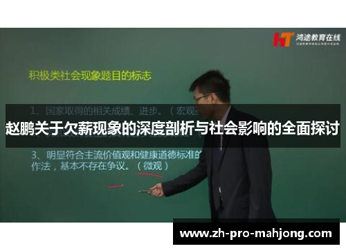 赵鹏关于欠薪现象的深度剖析与社会影响的全面探讨