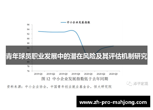 青年球员职业发展中的潜在风险及其评估机制研究 青年球员职业发展中的潜在风险及其评估机制研究