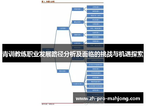 青训教练职业发展路径分析及面临的挑战与机遇探索 青训教练职业发展路径分析及面临的挑战与机遇探索