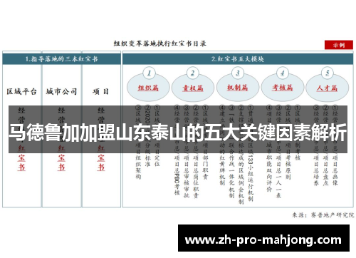 马德鲁加加盟山东泰山的五大关键因素解析 马德鲁加加盟山东泰山的五大关键因素解析