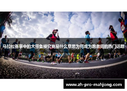 马拉松赛事中的大带鱼梗究竟是什么意思为何成为跑者间的热门话题 马拉松赛事中的大带鱼梗究竟是什么意思为何成为跑者间的热门话题