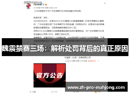 魏震禁赛三场:解析处罚背后的真正原因 魏震禁赛三场:解析处罚背后的真正原因